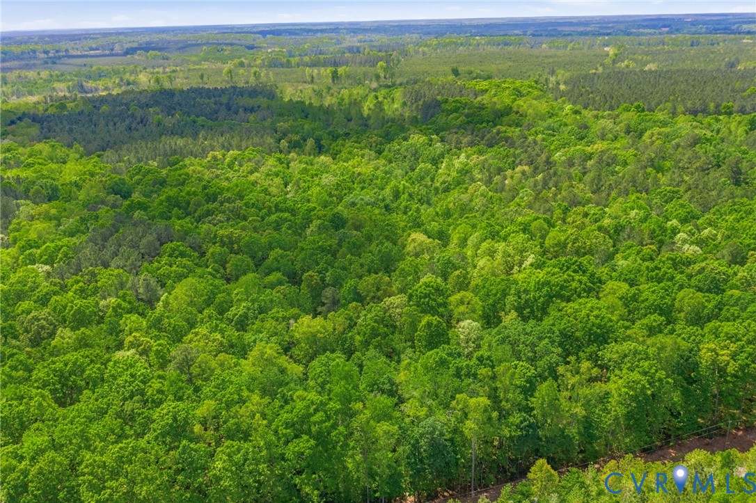 Lot 2 Colemans Lake Road Ford, VA 23850 - Photo 6 of 11 Lot 2 Colemans Lake Road