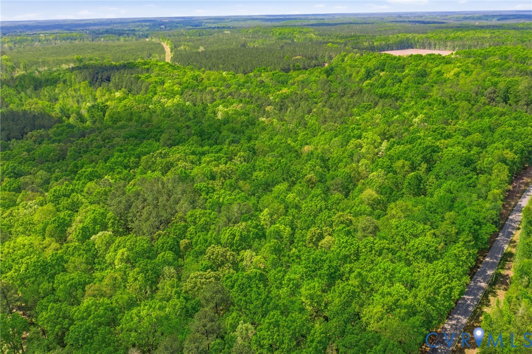 Lot 2 Colemans Lake Road Ford, VA 23850 - Photo 7 of 11 Lot 2 Colemans Lake Road