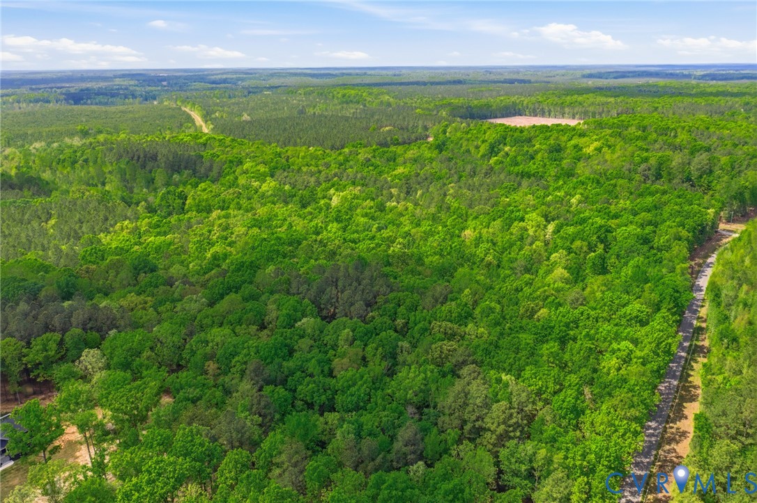 Lot 2 Colemans Lake Road Ford, VA 23850 - Photo 8 of 11 Lot 2 Colemans Lake Road