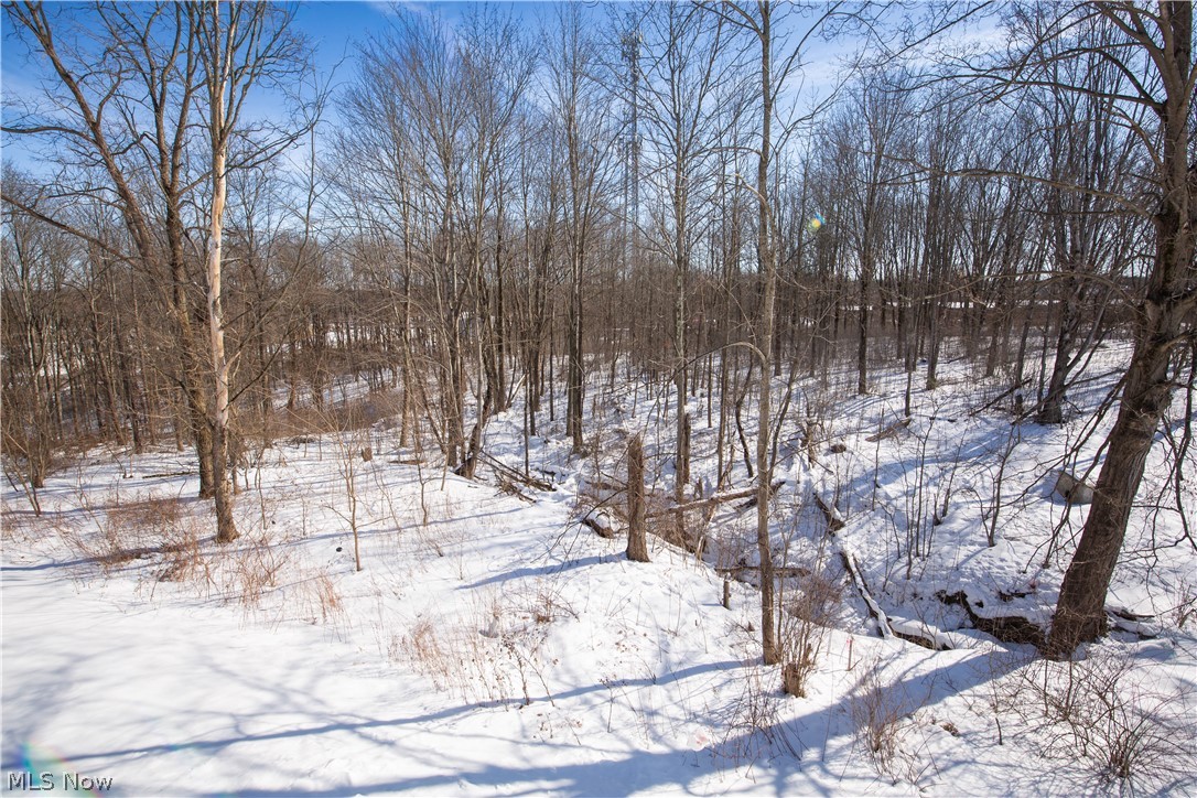150 Seamore Road Aurora, OH 44202 - Photo 50 of 50 View of yard layered in snow