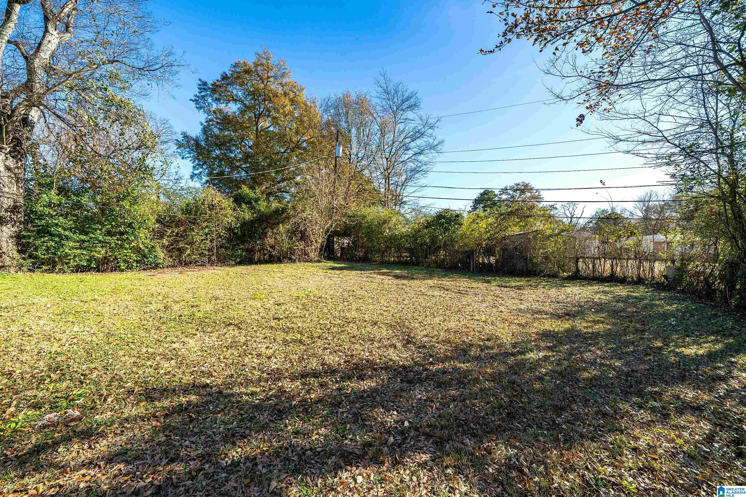 1425 66th Street Birmingham, AL 35228 - Photo 3 of 20