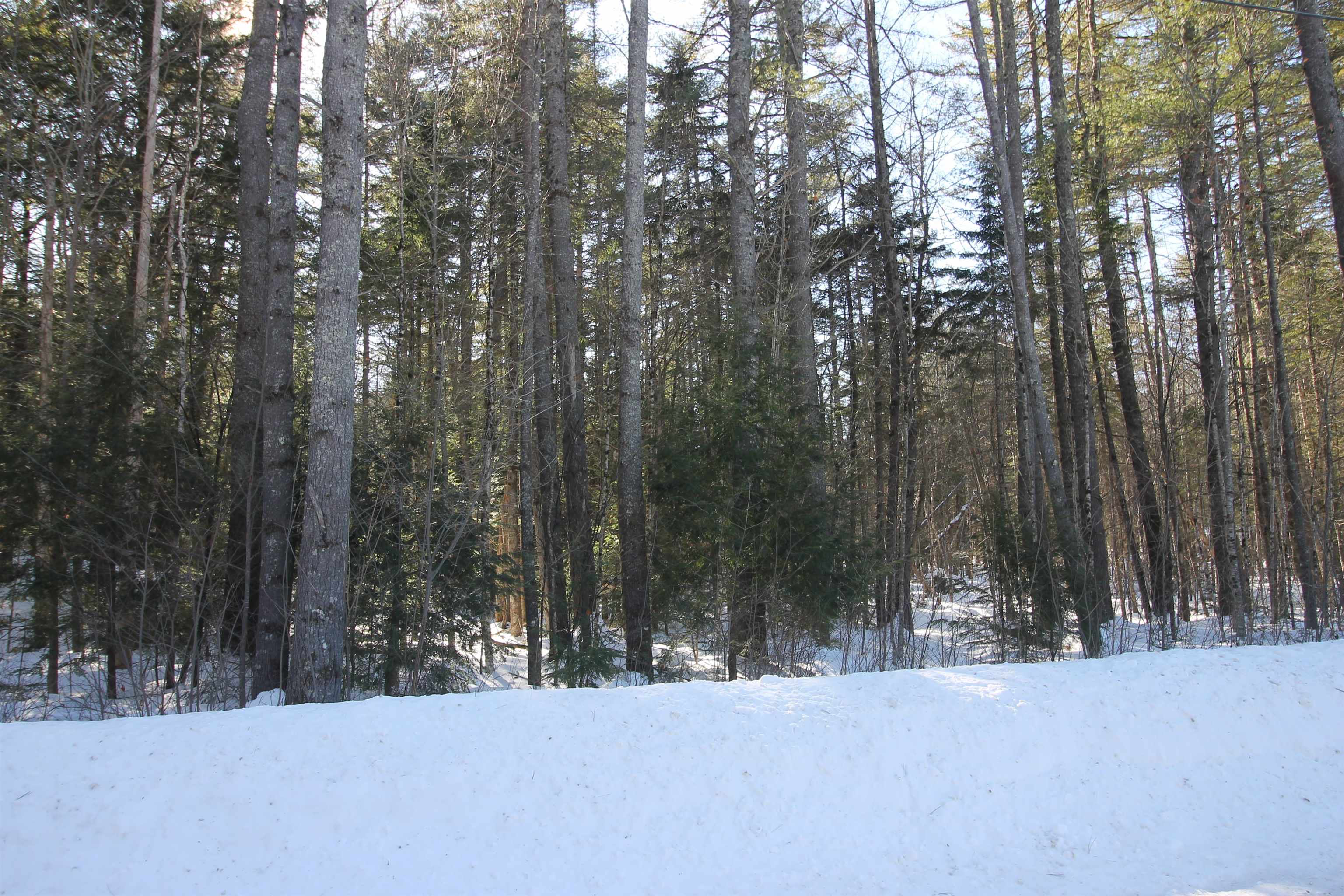 0 Covered Bridge Road Thornton, NH 03285 - Photo 18 of 32