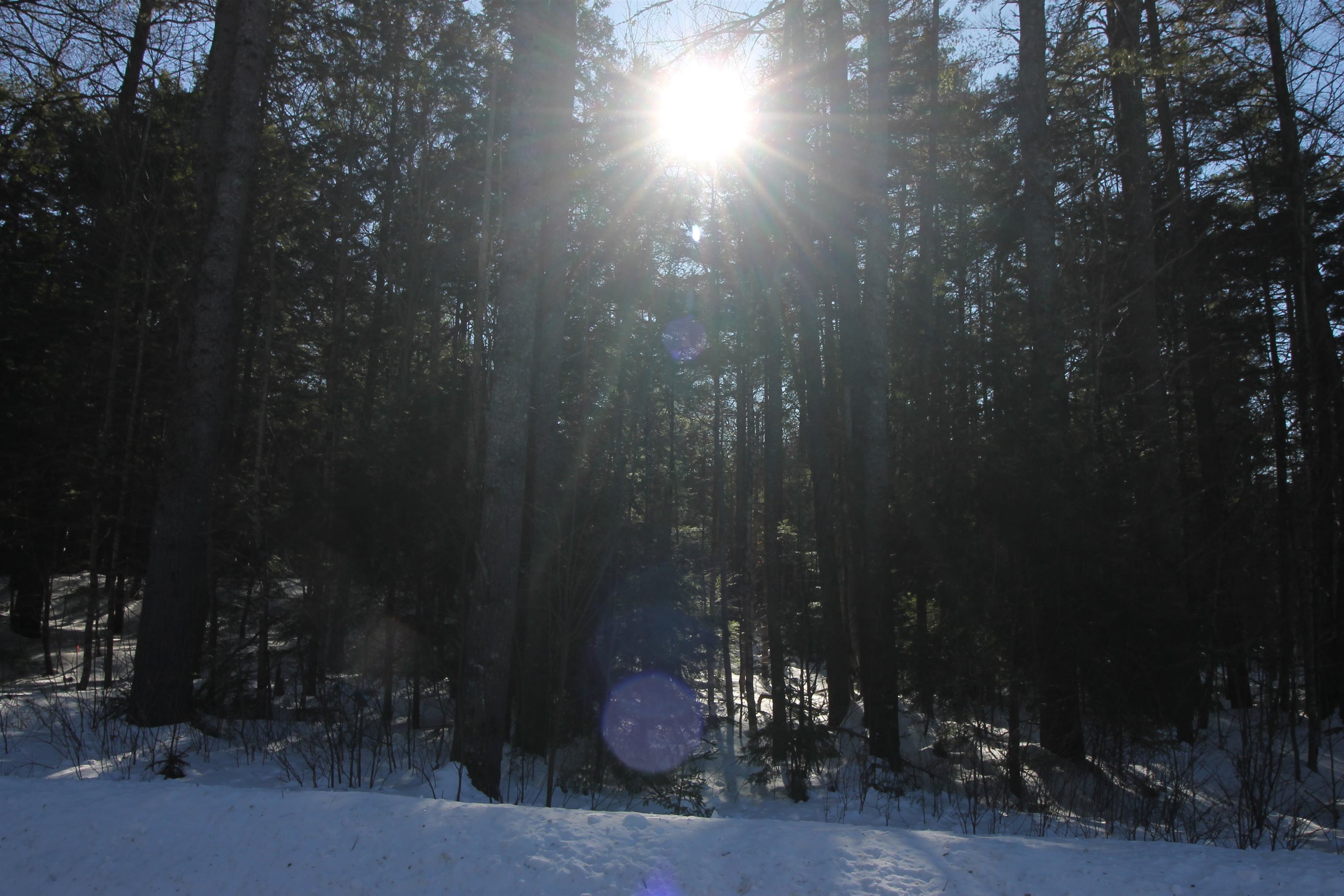 0 Covered Bridge Road Thornton, NH 03285 - Photo 20 of 32