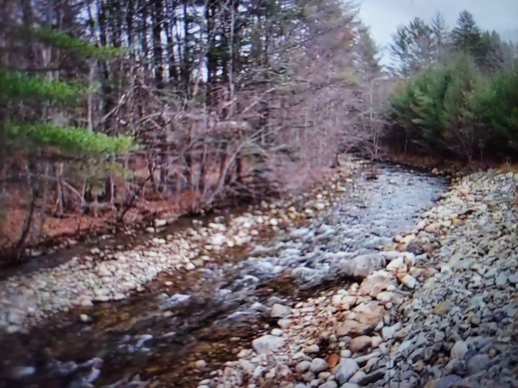 0 Covered Bridge Road Thornton, NH 03285 - Photo 28 of 32