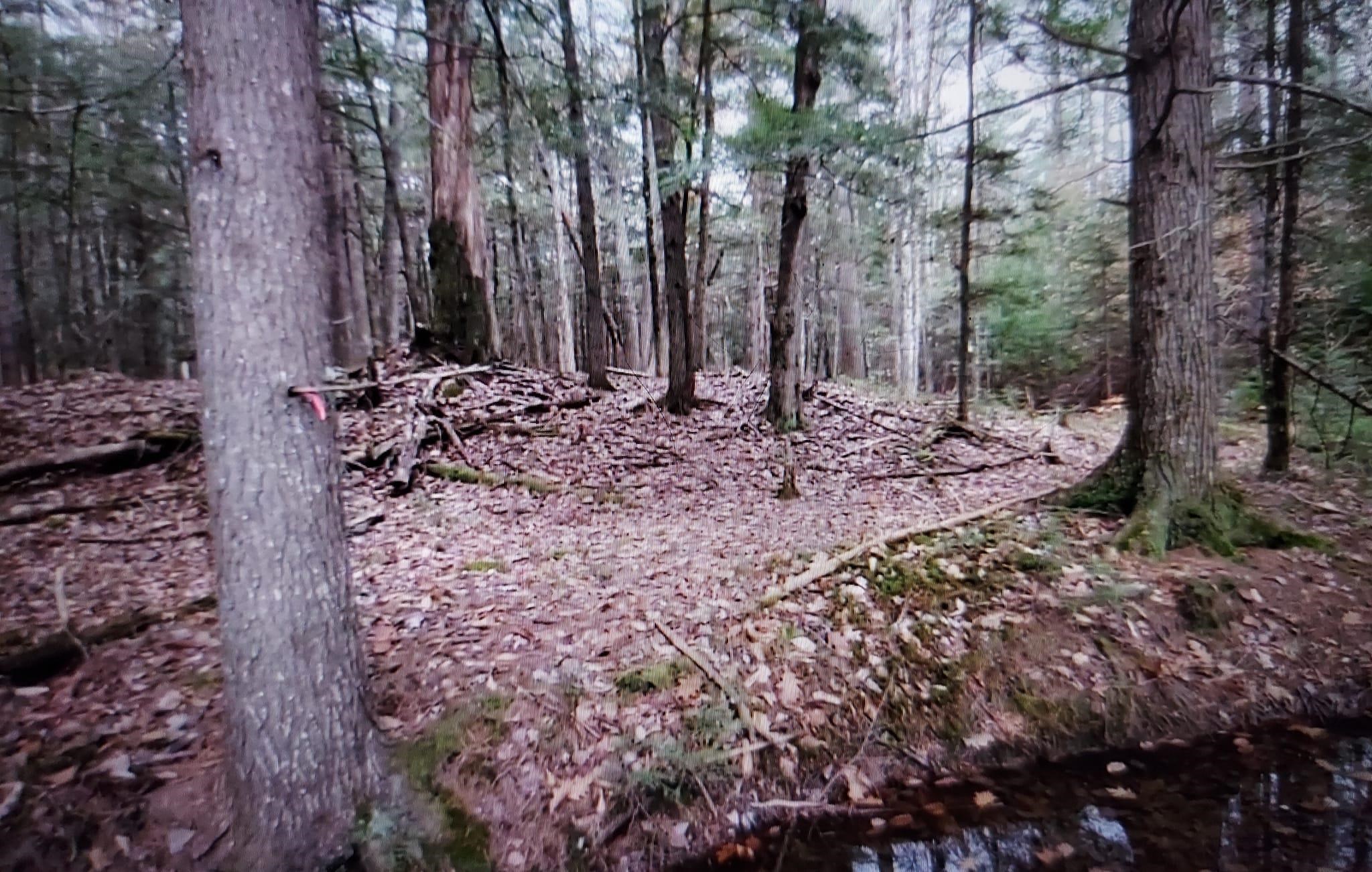 0 Covered Bridge Road Thornton, NH 03285 - Photo 31 of 32