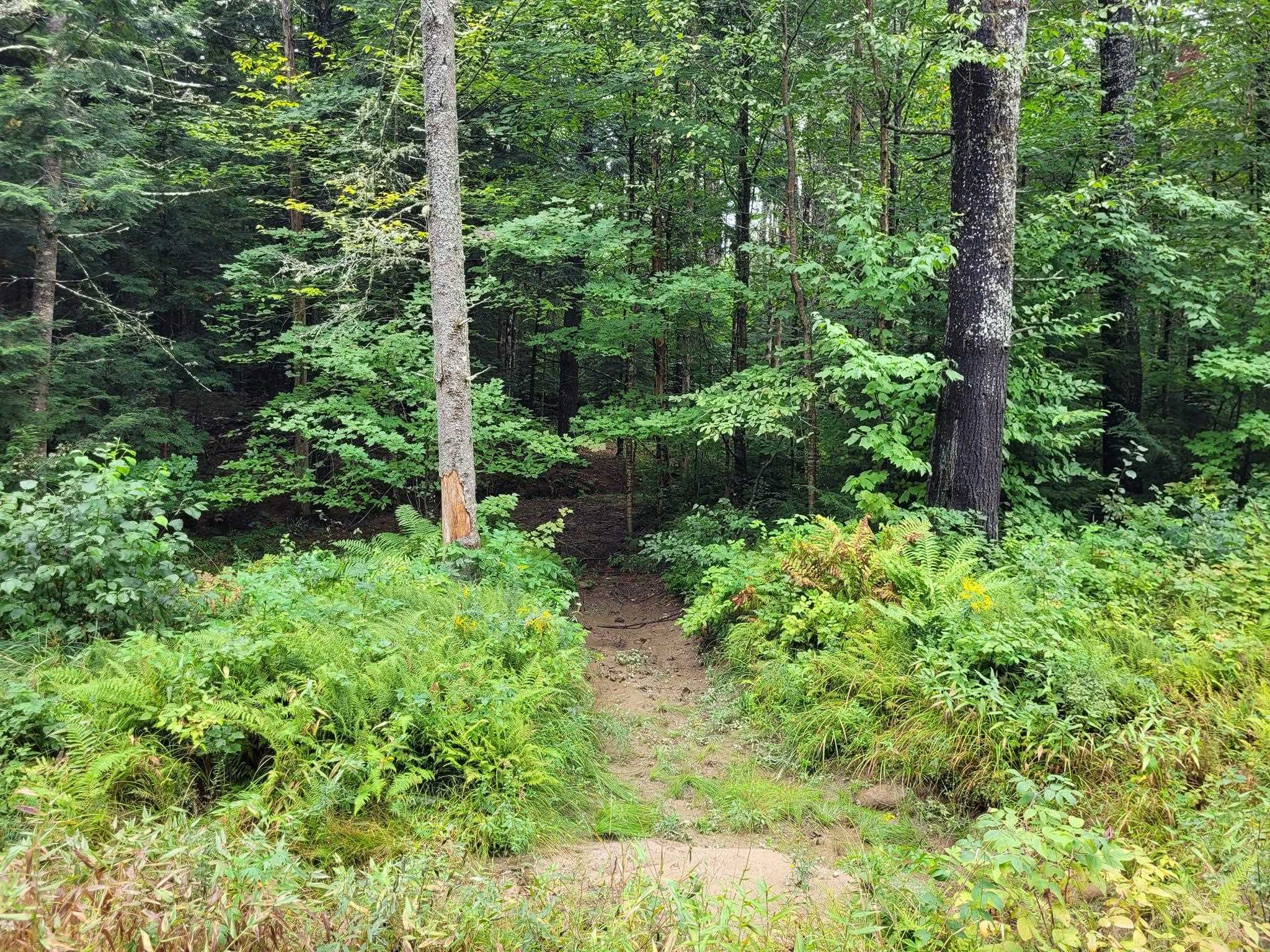 0 Covered Bridge Road Thornton, NH 03285 - Photo 32 of 32