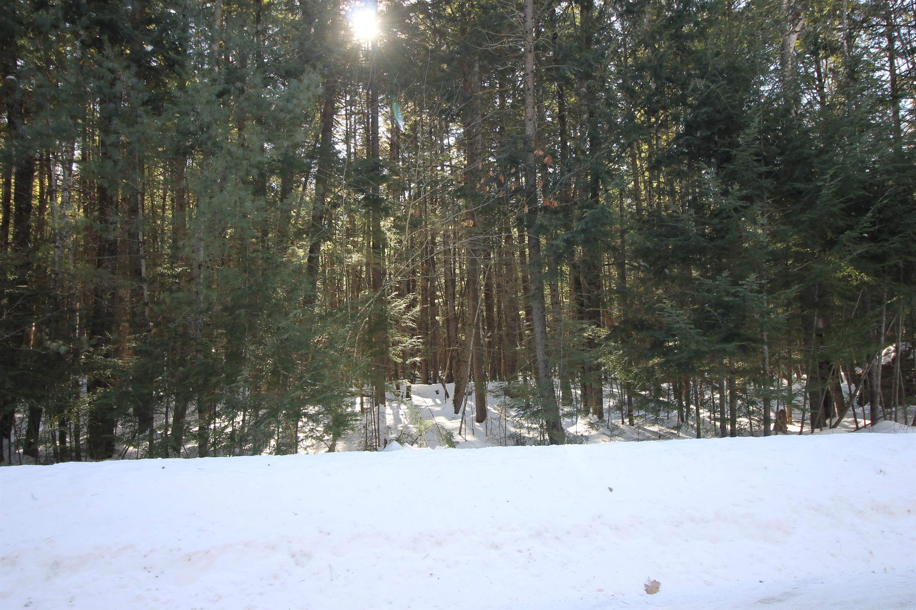 0 Covered Bridge Road Thornton, NH 03285 - Photo 7 of 32