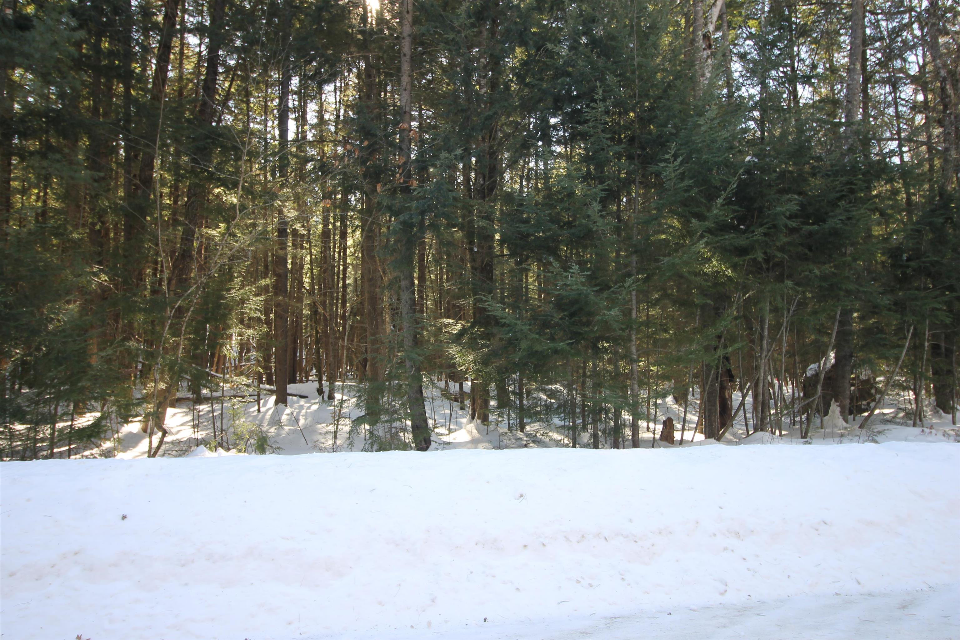 0 Covered Bridge Road Thornton, NH 03285 - Photo 9 of 32