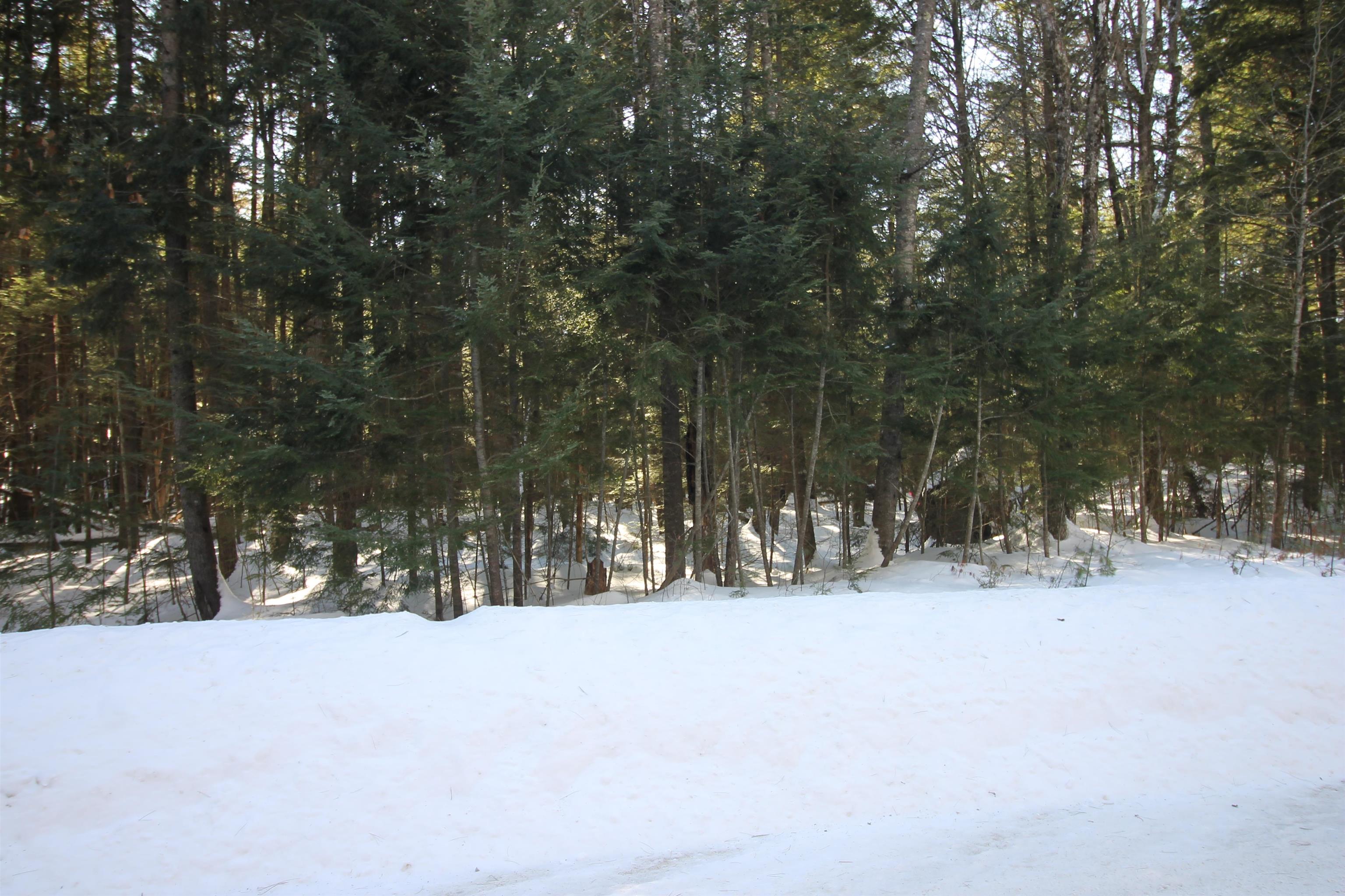 0 Covered Bridge Road Thornton, NH 03285 - Photo 10 of 32