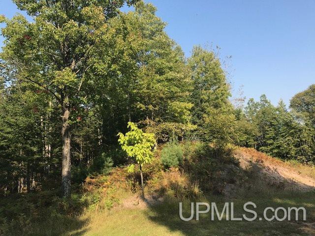 7620 30.5 Road Rapid River, MI 49878 - Photo 33 of 36