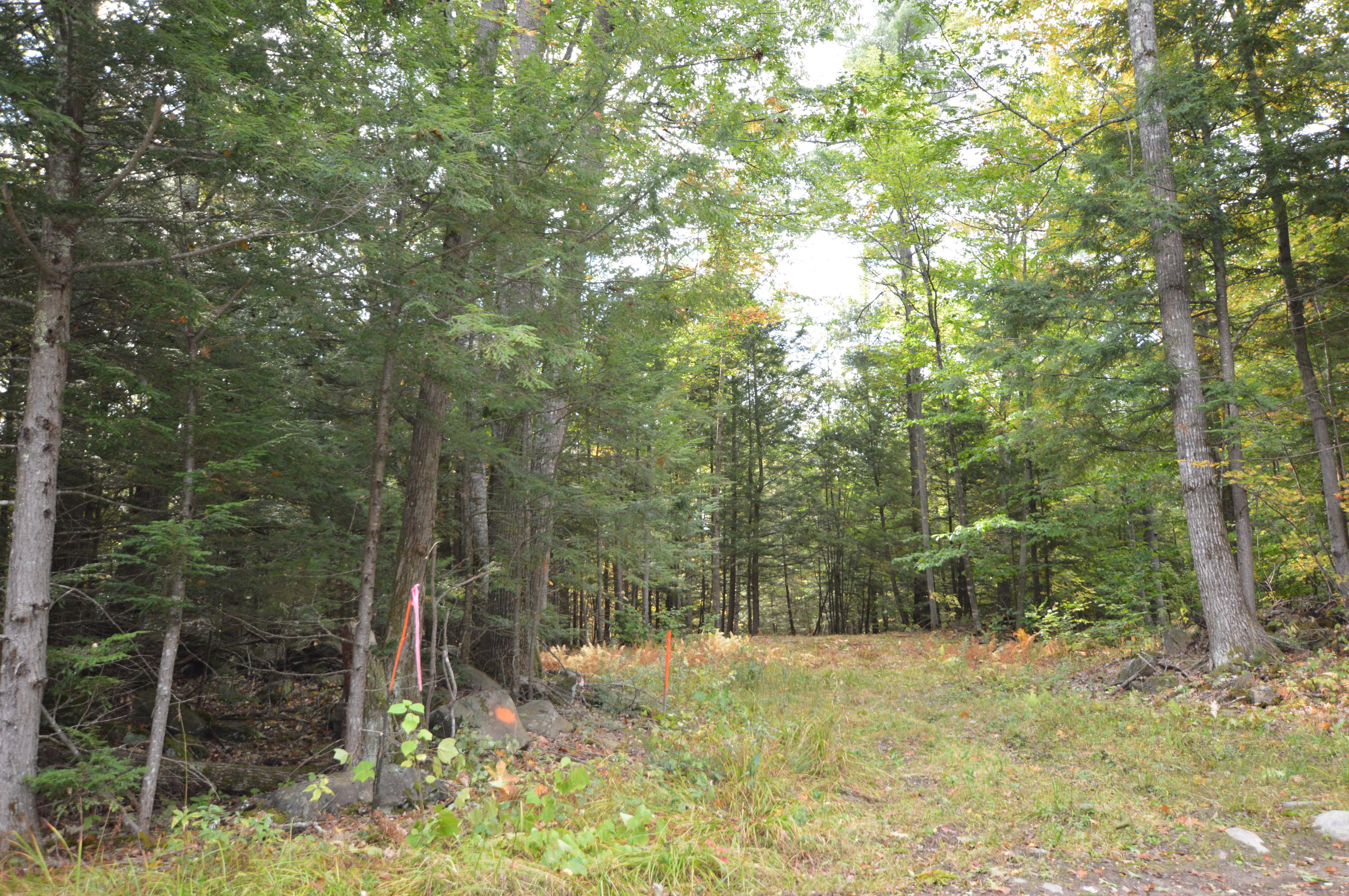 0 Soper Road Winthrop, ME 04364 - Photo 24 of 31 DSC_1426
