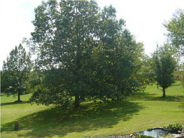 101 Plum Ridge Road Taylorsville, KY 40071 - Photo 24 of 25 Additional Photo
