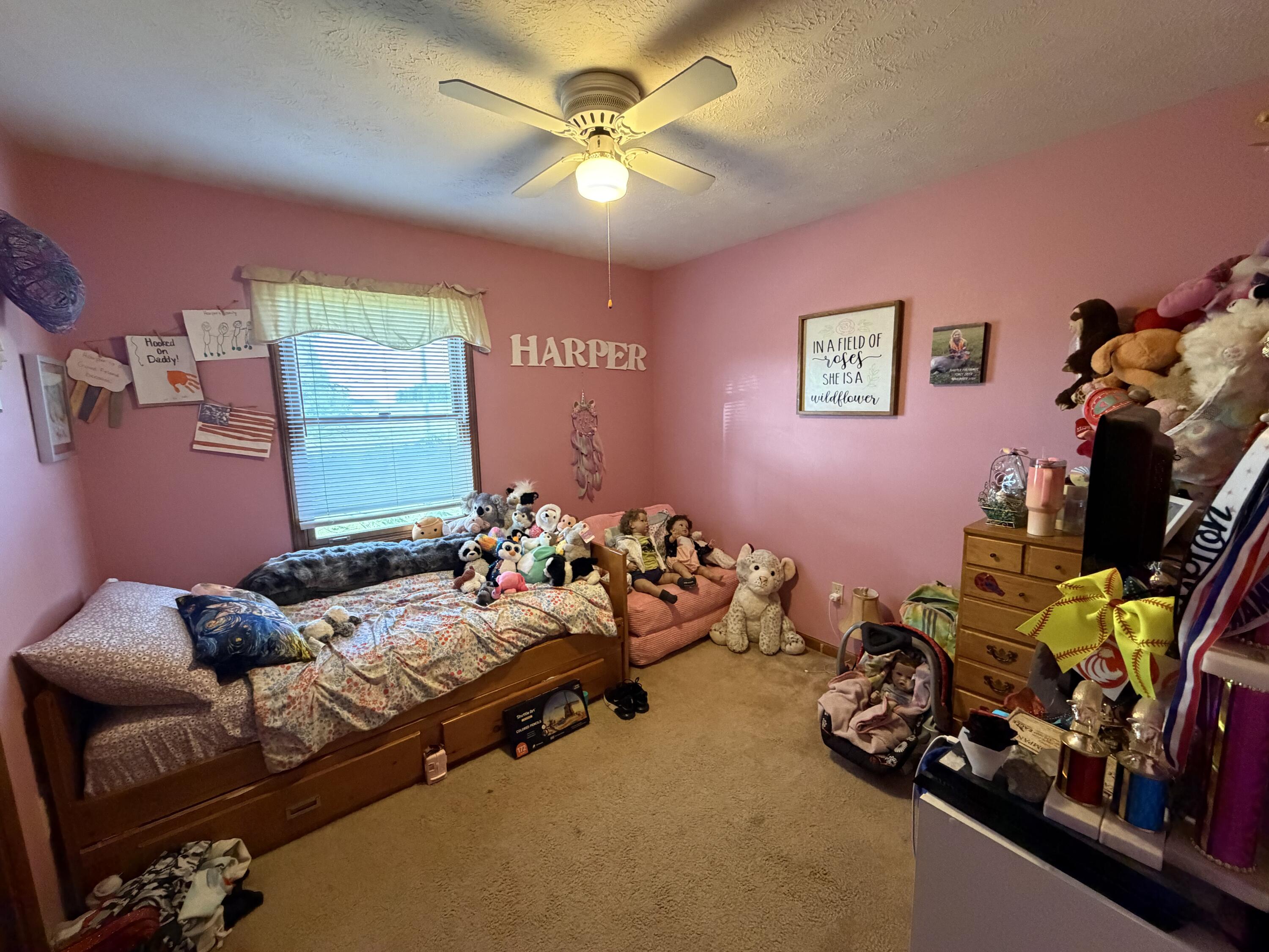 4064 Newport Road Fort Loramie, OH 45845 - Photo 8 of 17 IMG_2814