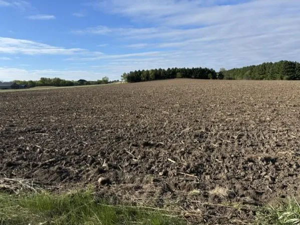 $520,000 | Tbd Tbd Pine Bluff Northwest, Pine Island, MN 55963
