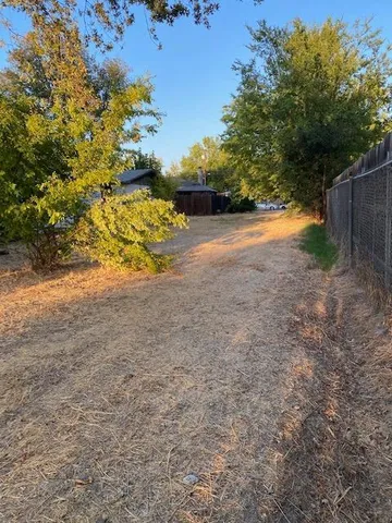 a view of a yard with a tree