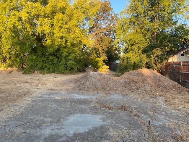 5341 Harrison Street North Highlands, CA 95660 - Photo 6 of 9 a view of a yard with a tree