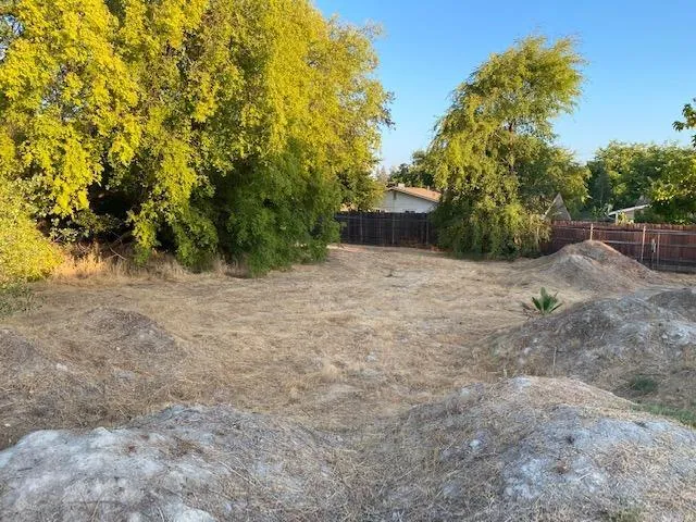 a backyard of a house with plants and trees