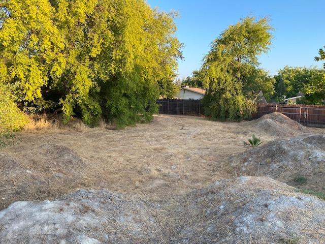 5341 Harrison Street North Highlands, CA 95660 - Photo 7 of 9 a backyard of a house with plants and trees