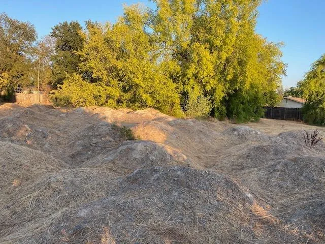 a view of dirt field with trees in the background