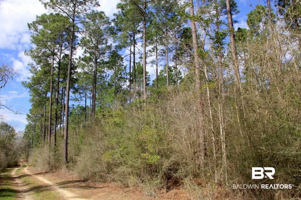 0 County Road 49 Loxley, AL 36551 - Photo 6 of 33