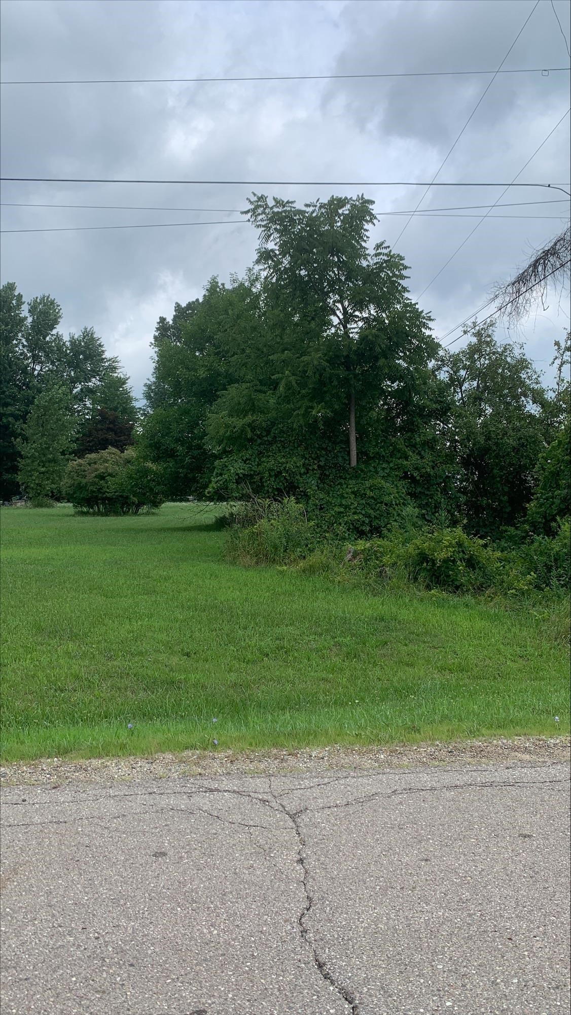 0 Herman Street Owosso, MI 48867 - Photo 3 of 3