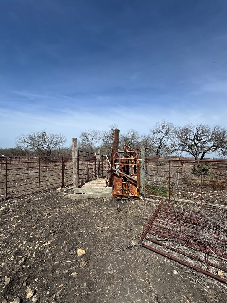 4515 Stapper Road St. Hedwig, TX 78152 - Photo 56 of 66