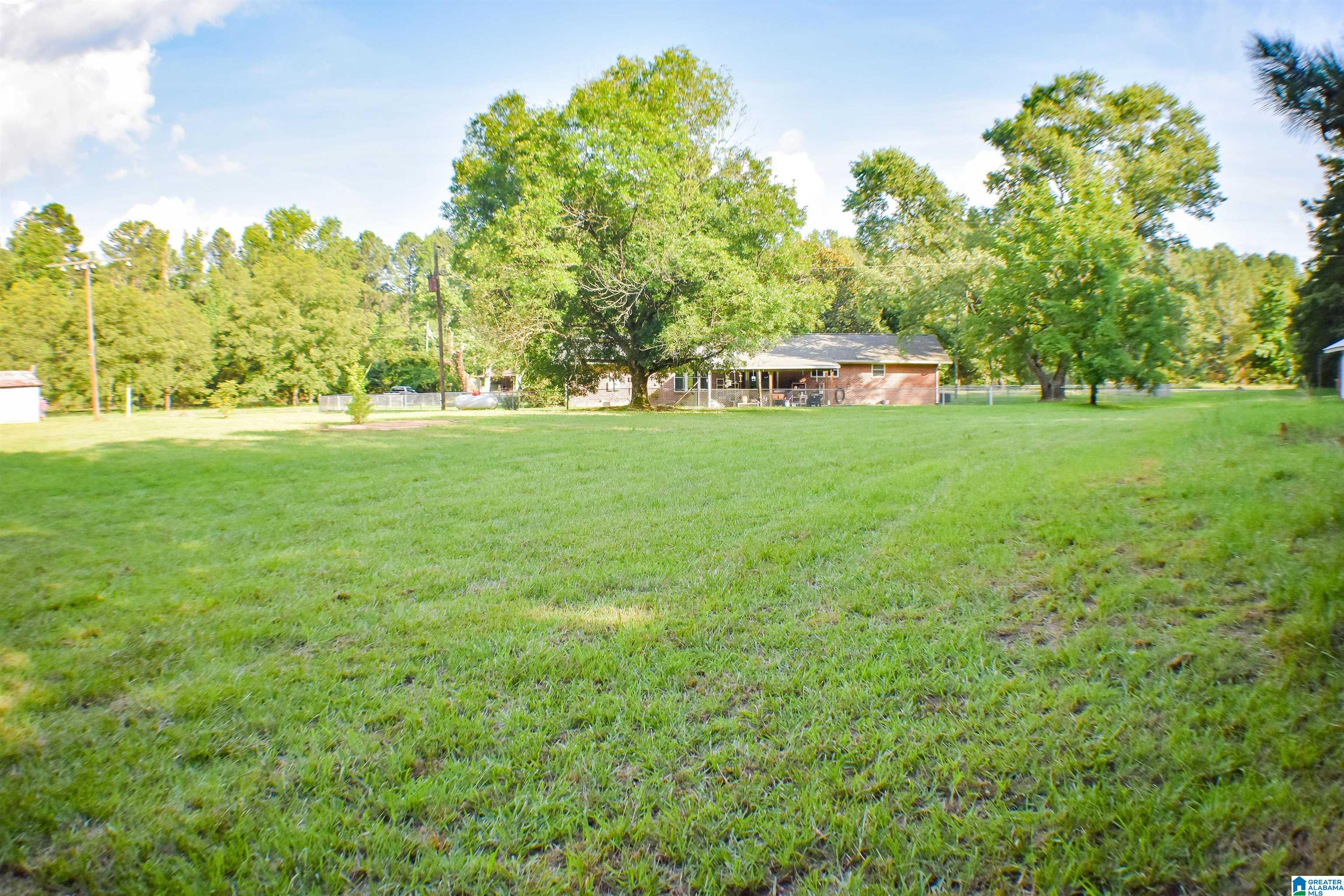 907 Law Martin Road Piedmont, AL 36272 - Photo 4 of 27