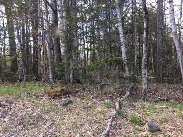 Lot 302 Stream Road St. Albans, ME 04971 - Photo 6 of 6 Land 6