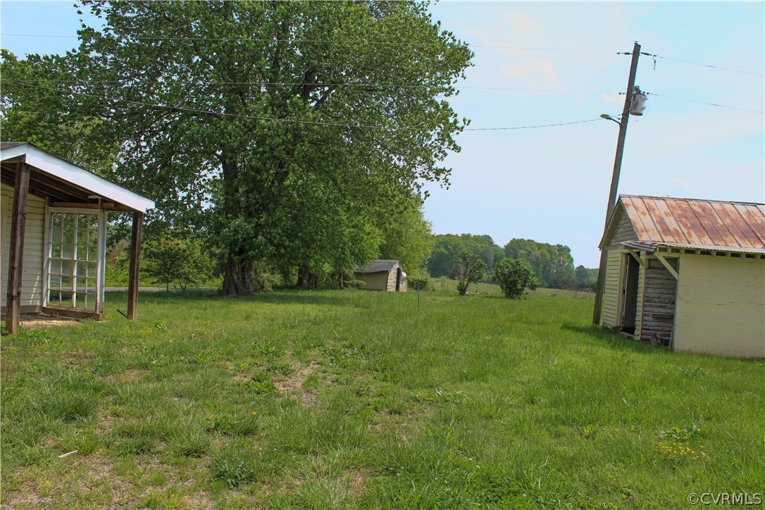 2729 Arritt Road Partlow, VA 22534 - Photo 29 of 30 a backyard of a house with plants and large tree