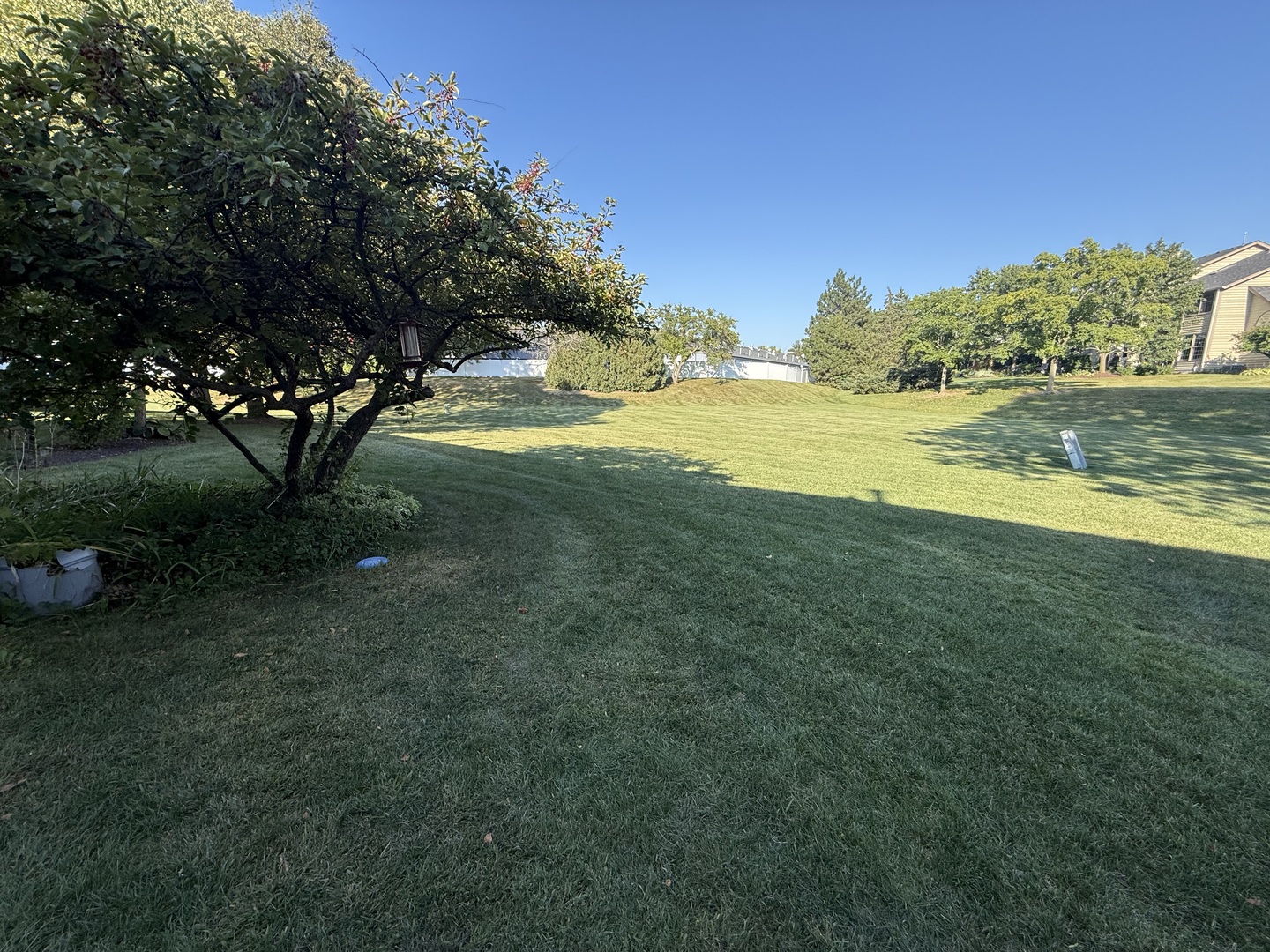 27W210 Providence Lane Winfield, IL 60190 - Photo 11 of 12 a view of yard with swimming pool and green space