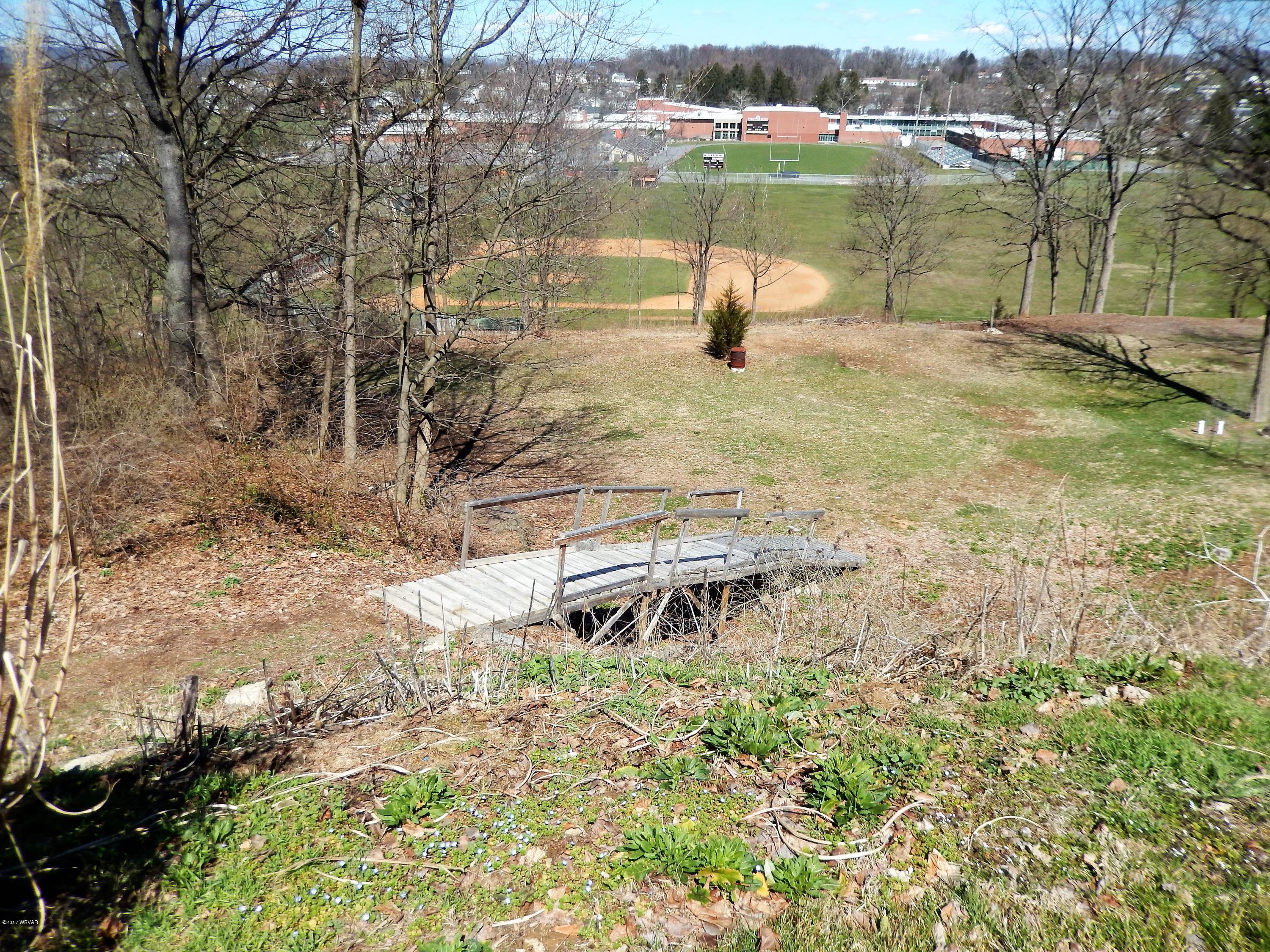 25 Old Orchard Road Milton, PA 17847 - Photo 24 of 24 Lower Yard accessible from an alley