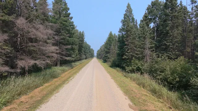 $149,800 | Tbd 80-acres Tbd 80-acres Sunflower Road Northeast, Kelliher, MN 56650