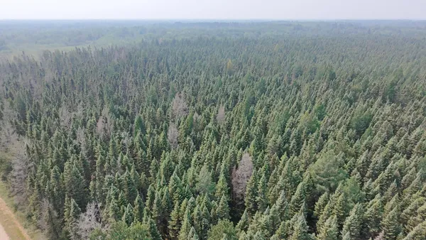 $149,800 | Tbd 80-acres Tbd 80-acres Sunflower Road Northeast, Kelliher, MN 56650