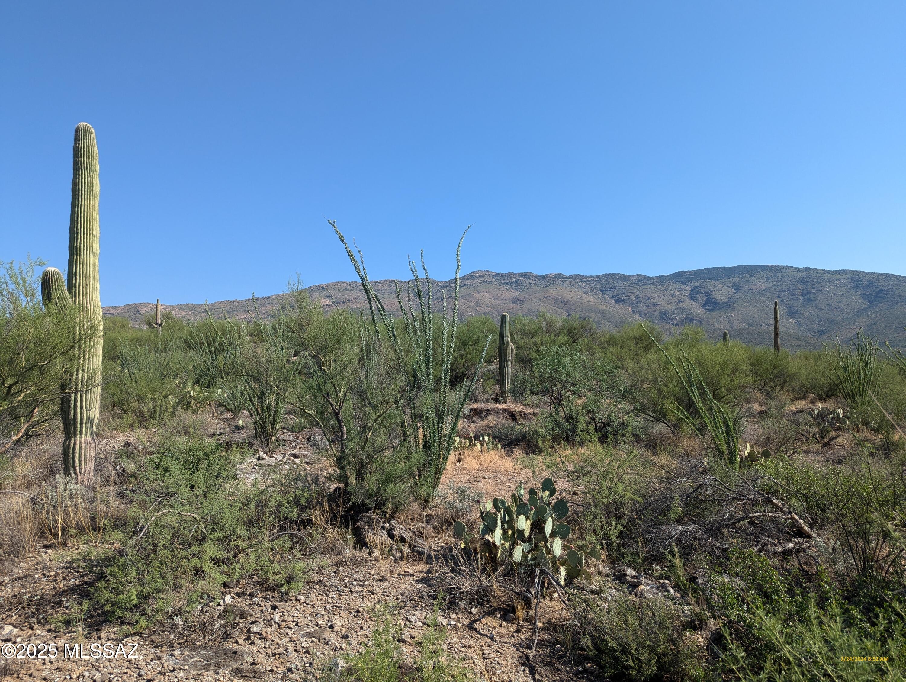 0 East Rincon Creek Ranch Road, Unit 1 Tucson, AZ 85747 - Photo 1 of 6 Gallery Image 1