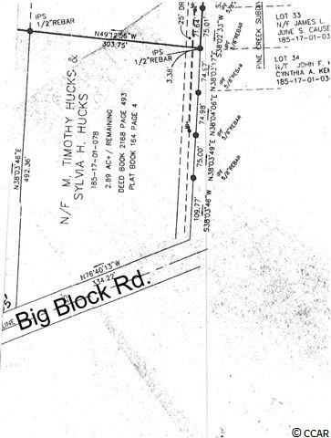 0 Big Block Road Myrtle Beach, SC 29588 - Photo 1 of 4 Gallery Image 1