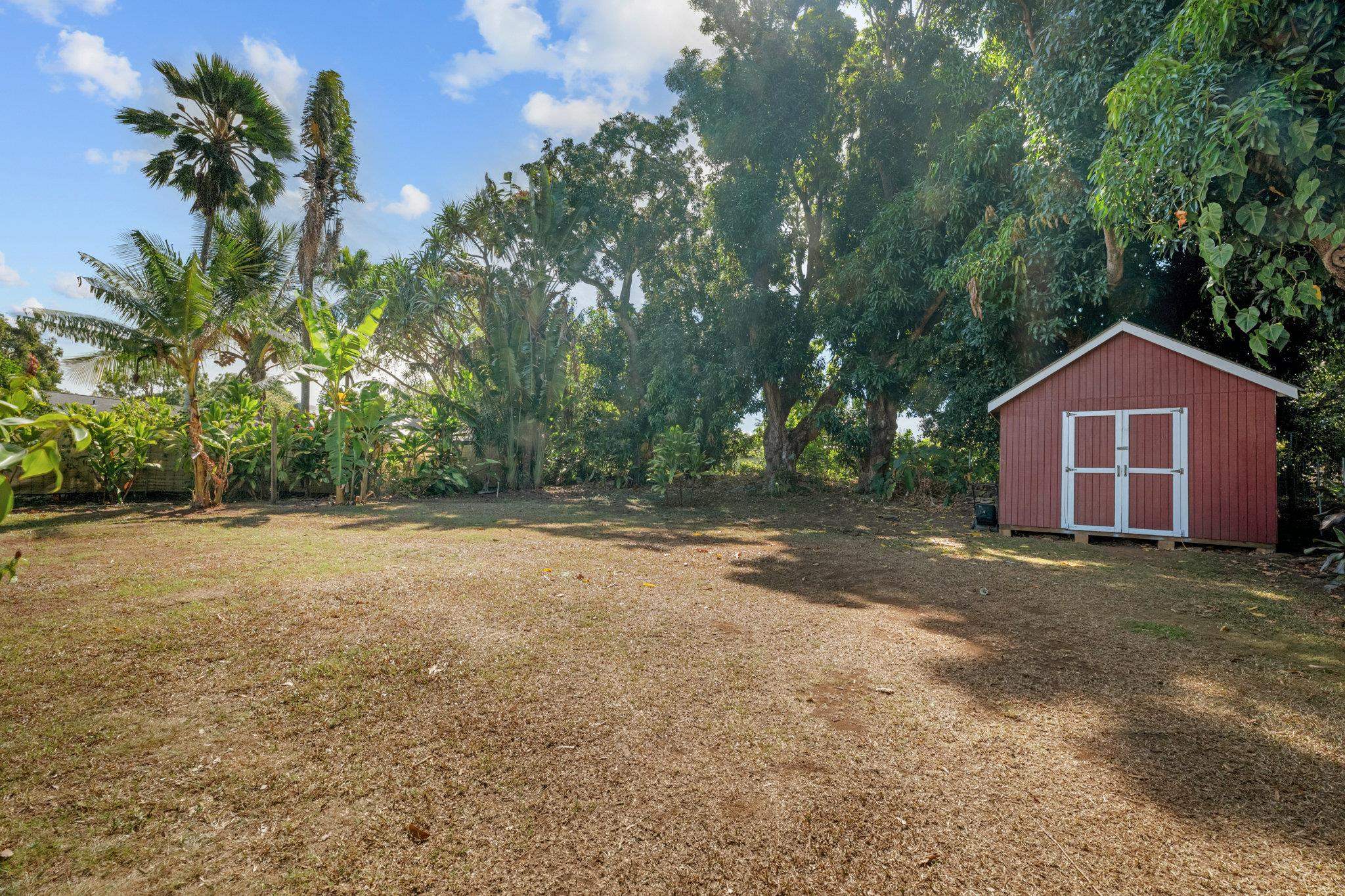 815 Kuulei Street Haiku, HI 96708 - Photo 25 of 26 a view of a backyard of a house