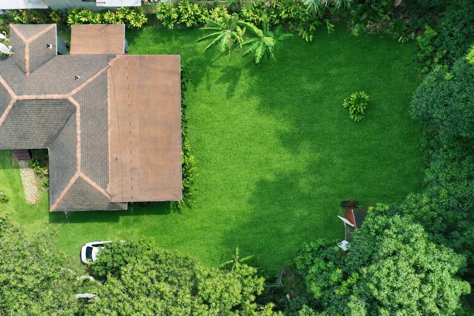 815 Kuulei Street Haiku, HI 96708 - Photo 26 of 26 a view of a house with a backyard