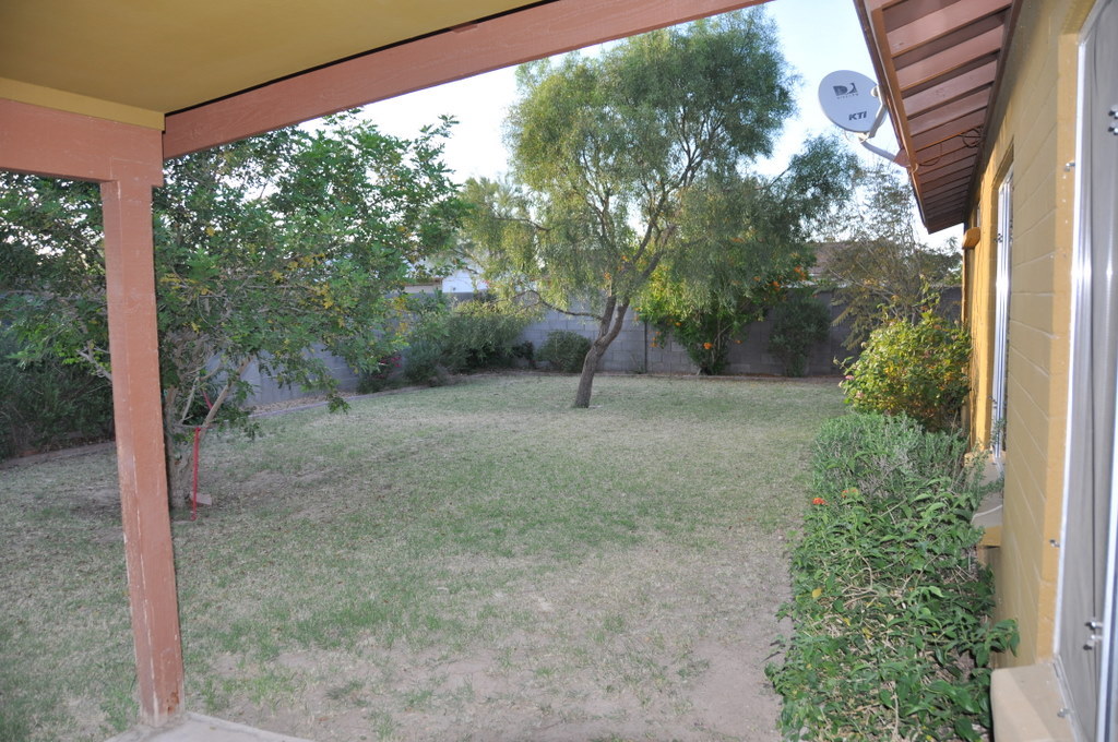 4814 South Roberts Road Tempe, AZ 85283 - Photo 5 of 18 Large Green Yard