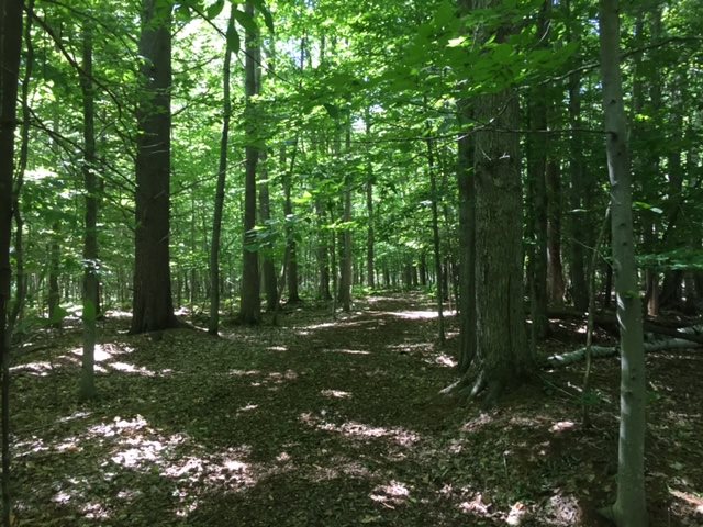 5924 Galvin Road Traverse City, MI 49685 - Photo 26 of 31 1848959-25.JPG
