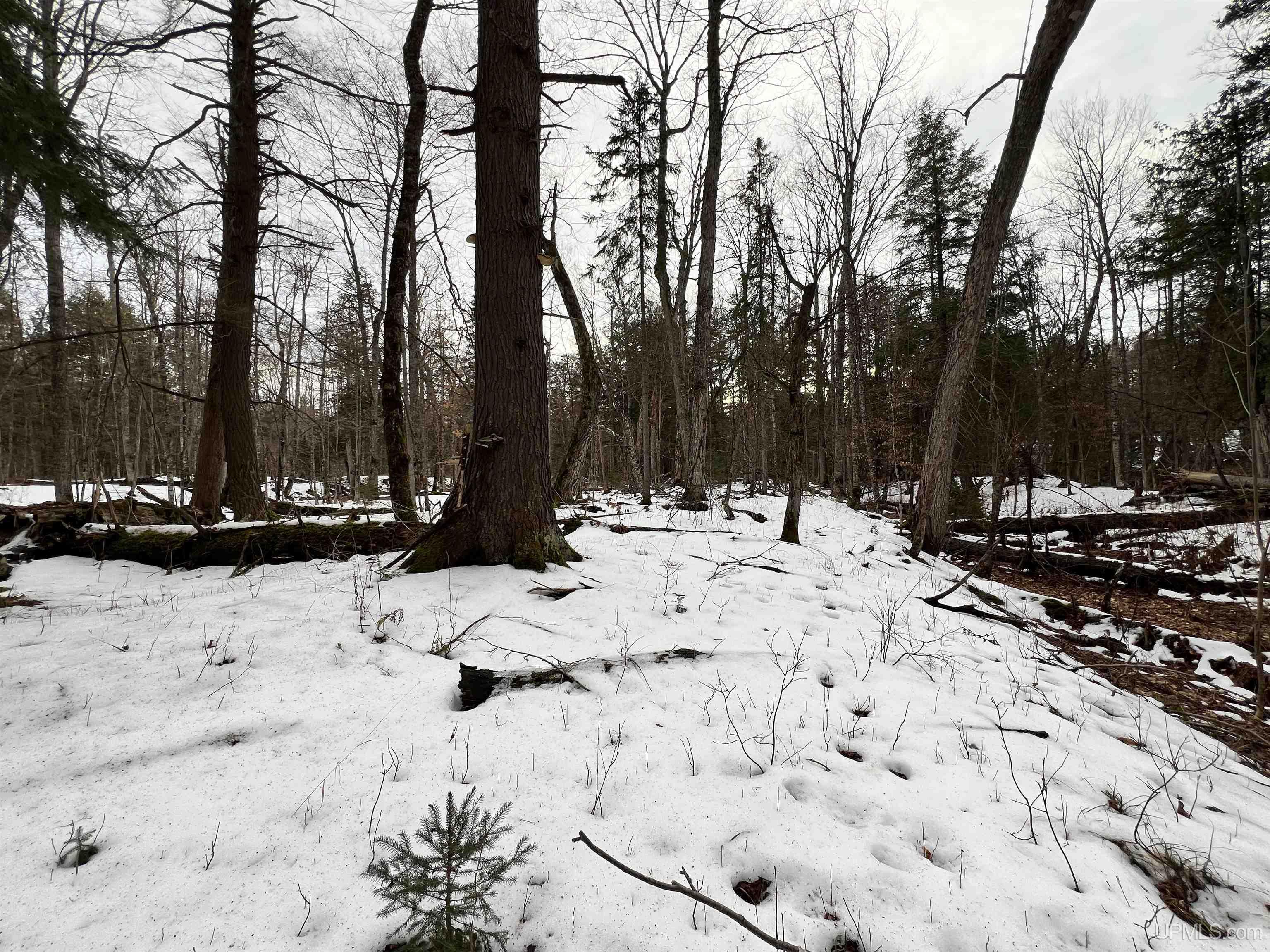 Tbd Erick Road Skanee, MI 49962 - Photo 12 of 34 Gallery Image 12