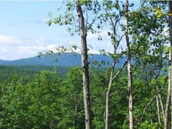 0 Rines Road Alton, NH 03809 - Photo 1 of 1