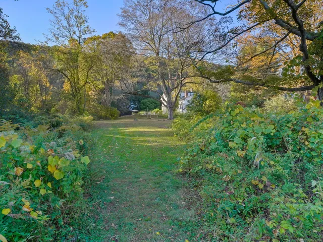 a view of a yard with a tree