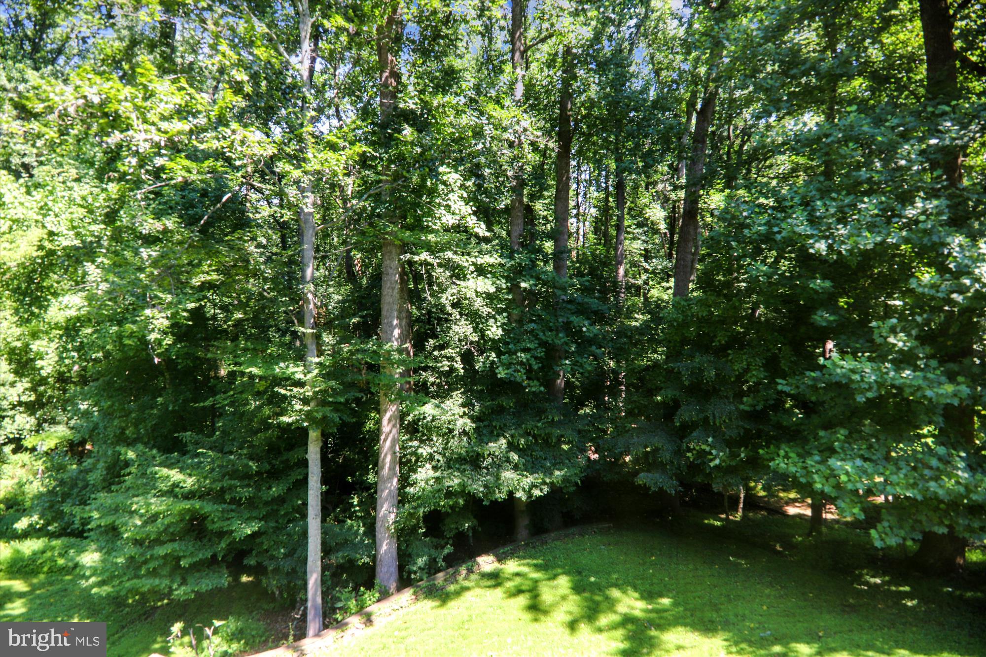 7919 Greentree Road Bethesda, MD 20817 - Photo 50 of 110 View
