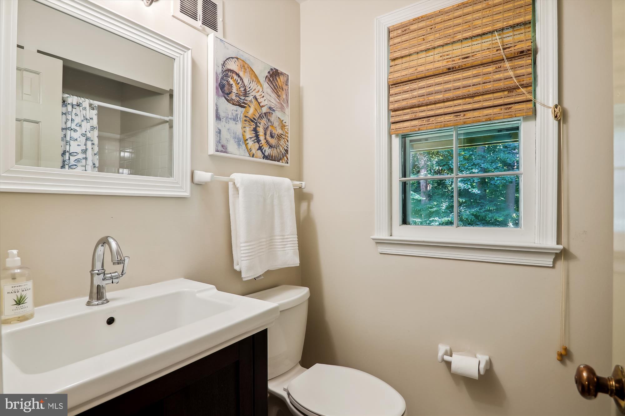 7919 Greentree Road Bethesda, MD 20817 - Photo 98 of 110 Bath