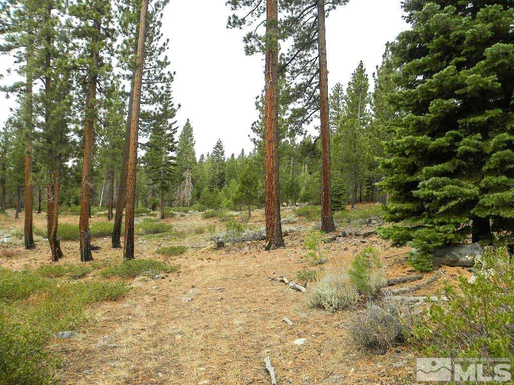 0 Kings Canyon Road Carson City, NV 89703 - Photo 7 of 11 Photo 7