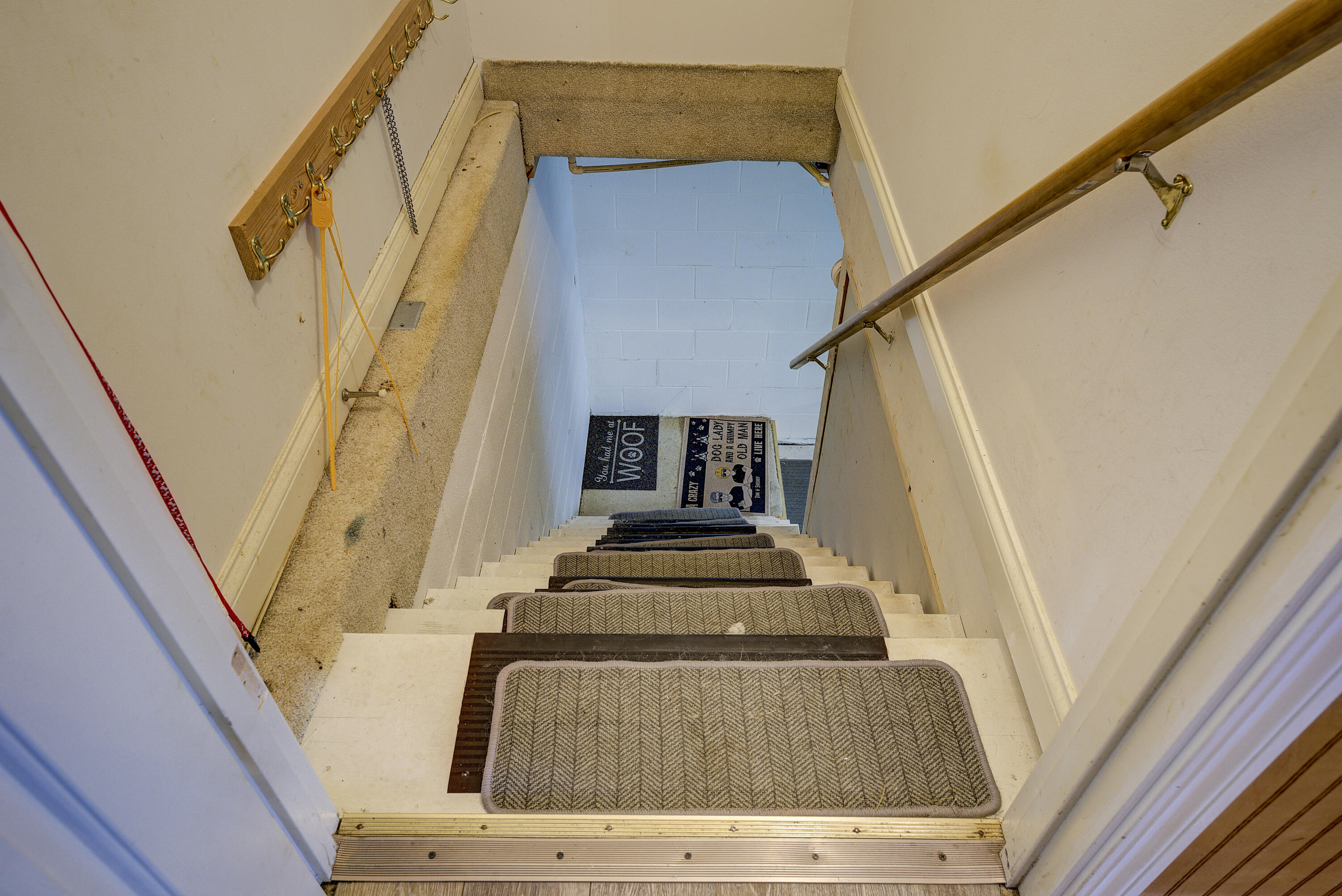930 Shakerag Road Greeneville, TN 37743 - Photo 30 of 53 Stairs to basement