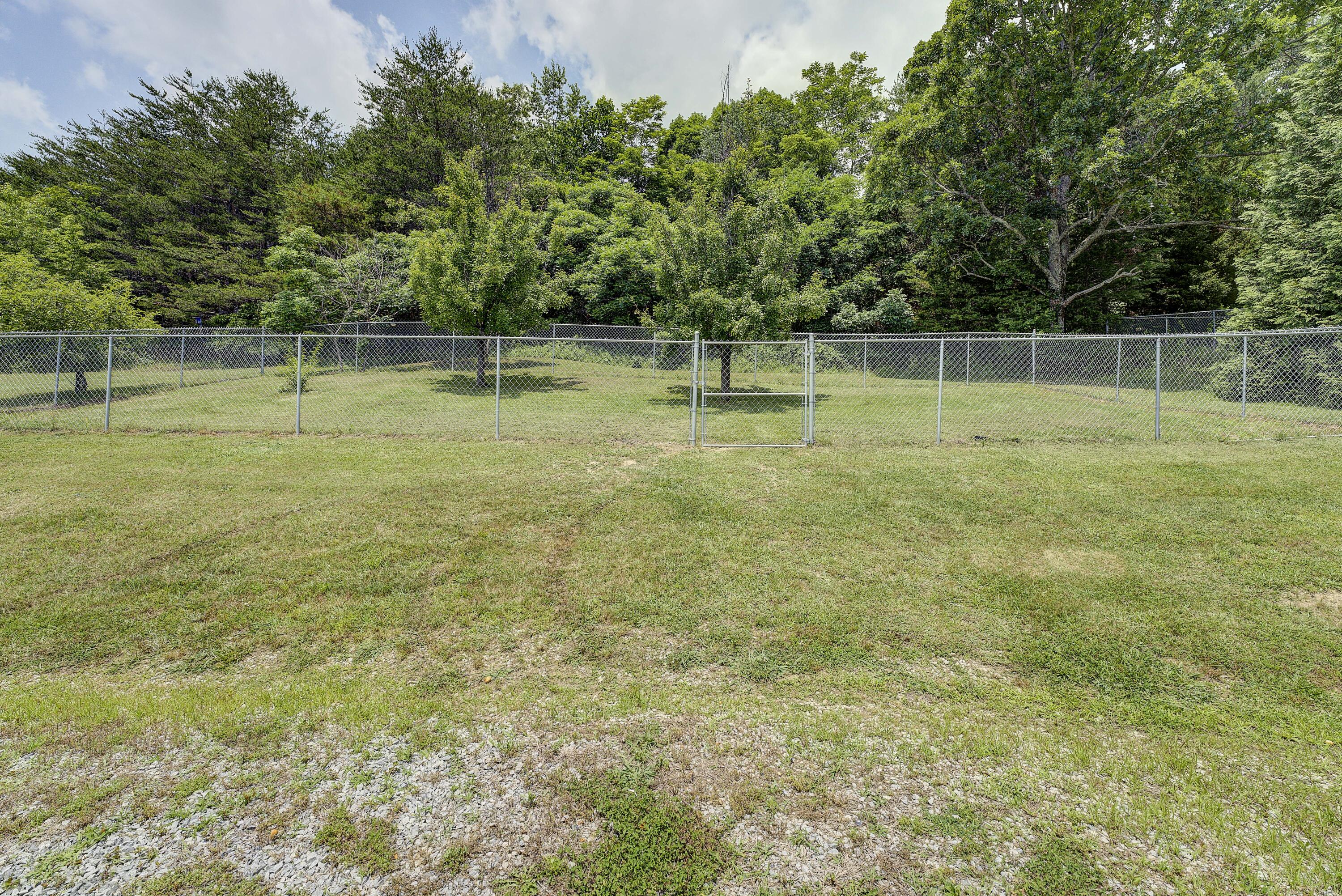 930 Shakerag Road Greeneville, TN 37743 - Photo 39 of 53 Back yard