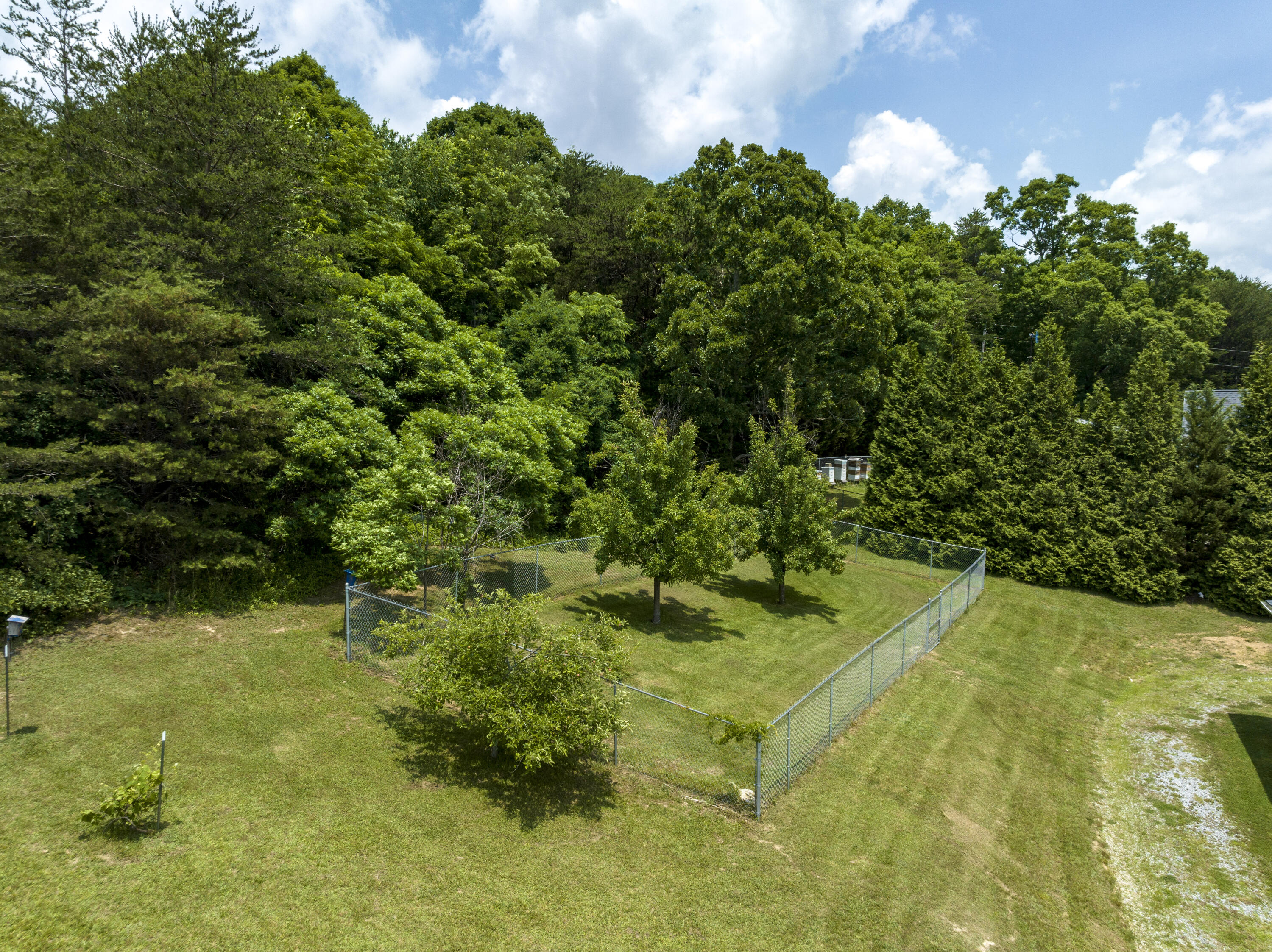 930 Shakerag Road Greeneville, TN 37743 - Photo 51 of 53 Aerial back