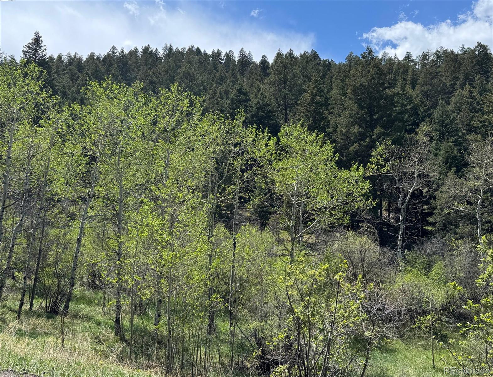South Maxwell Hill Road Littleton, CO 80127 - Photo 2 of 14