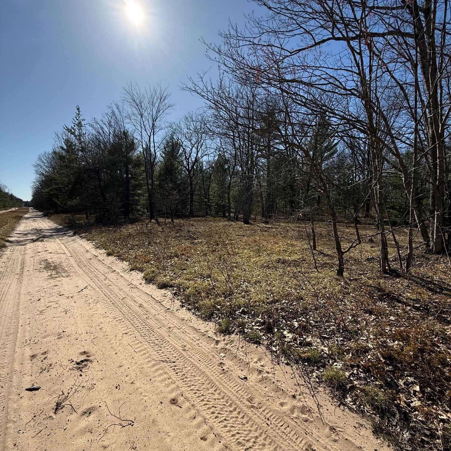 C Scharmen Road Traverse City, MI 49696 - Photo 4 of 11